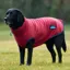 WeatherBeeta ComFiTec Fleece Zip Dog Coat - Burgundy/Navy