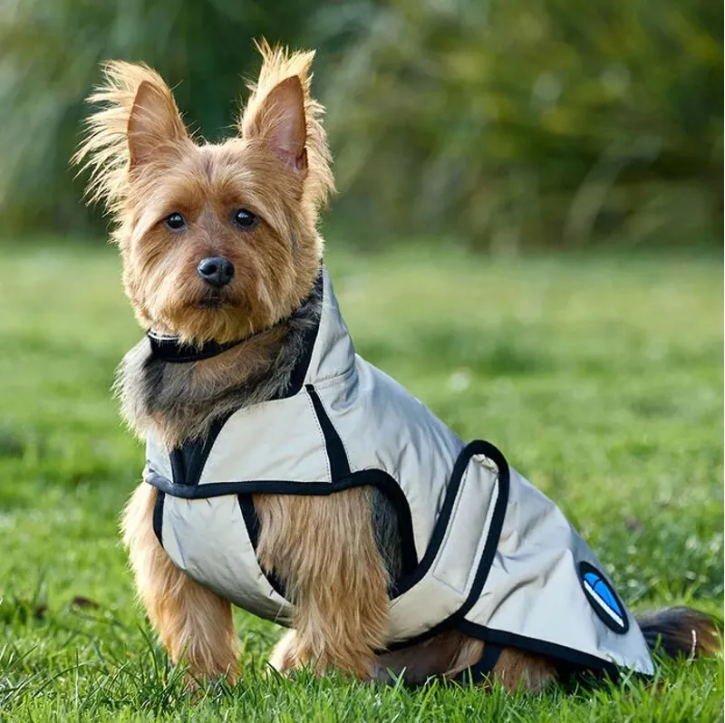 WeatherBeeta ComFiTec Reflective Showerproof Dog Coat - Silver-1