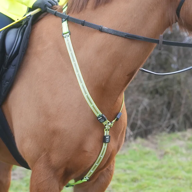 Woof Wear LED Neck Band - Yellow