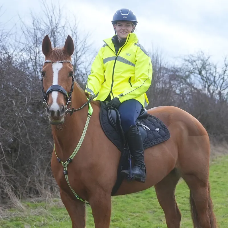 Woof Wear LED Neck Band - Yellow-1