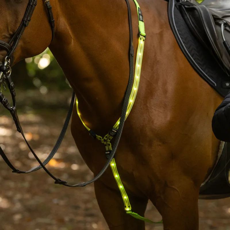 Woof Wear LED Neck Band - Yellow