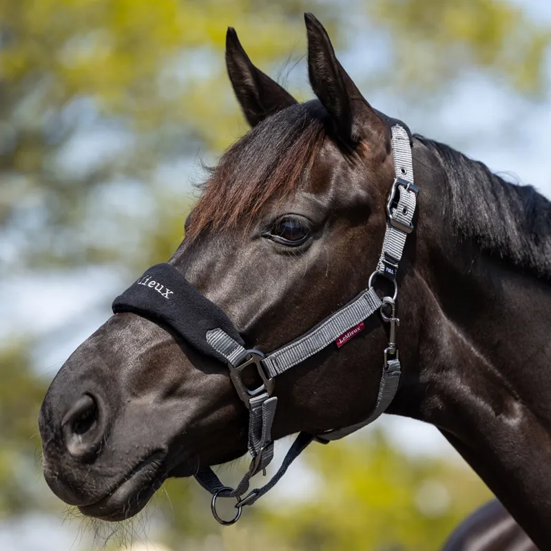 LeMieux Vogue Headcollar and Lead Rope Set - Black/Grey-1