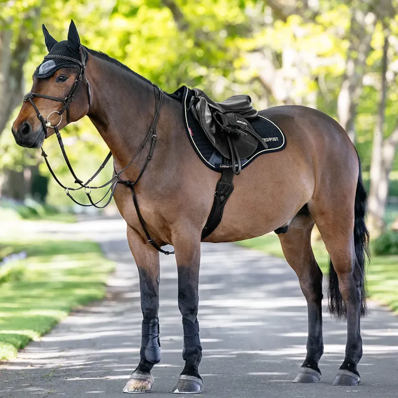 LeMieux x Redpost GP Saddlecloth Bundle-2