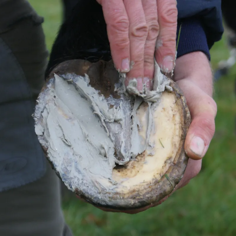 Red Horse Field Paste Cleansing Clay Hoof Dressing-3