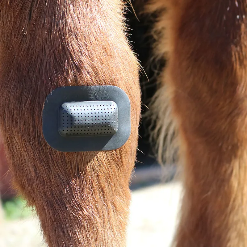 RHEVA Wound Protection Plaster-2