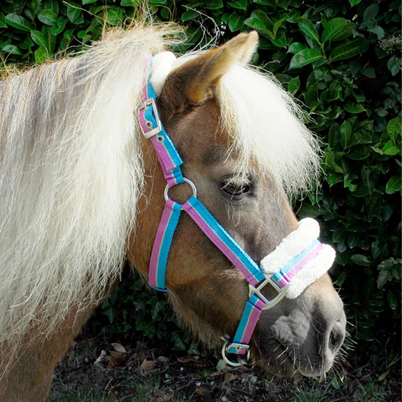 Rhinegold Fur Trim Small Pony Headcollar - Turquoise Stripe-1