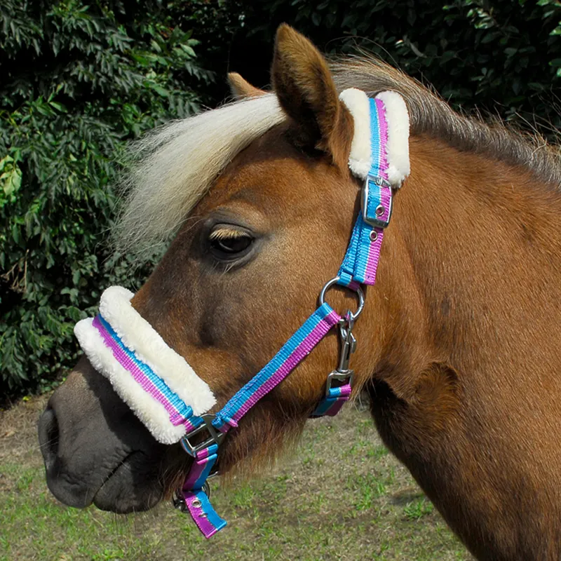 Rhinegold Fur Trim Small Pony Headcollar - Turquoise Stripe
