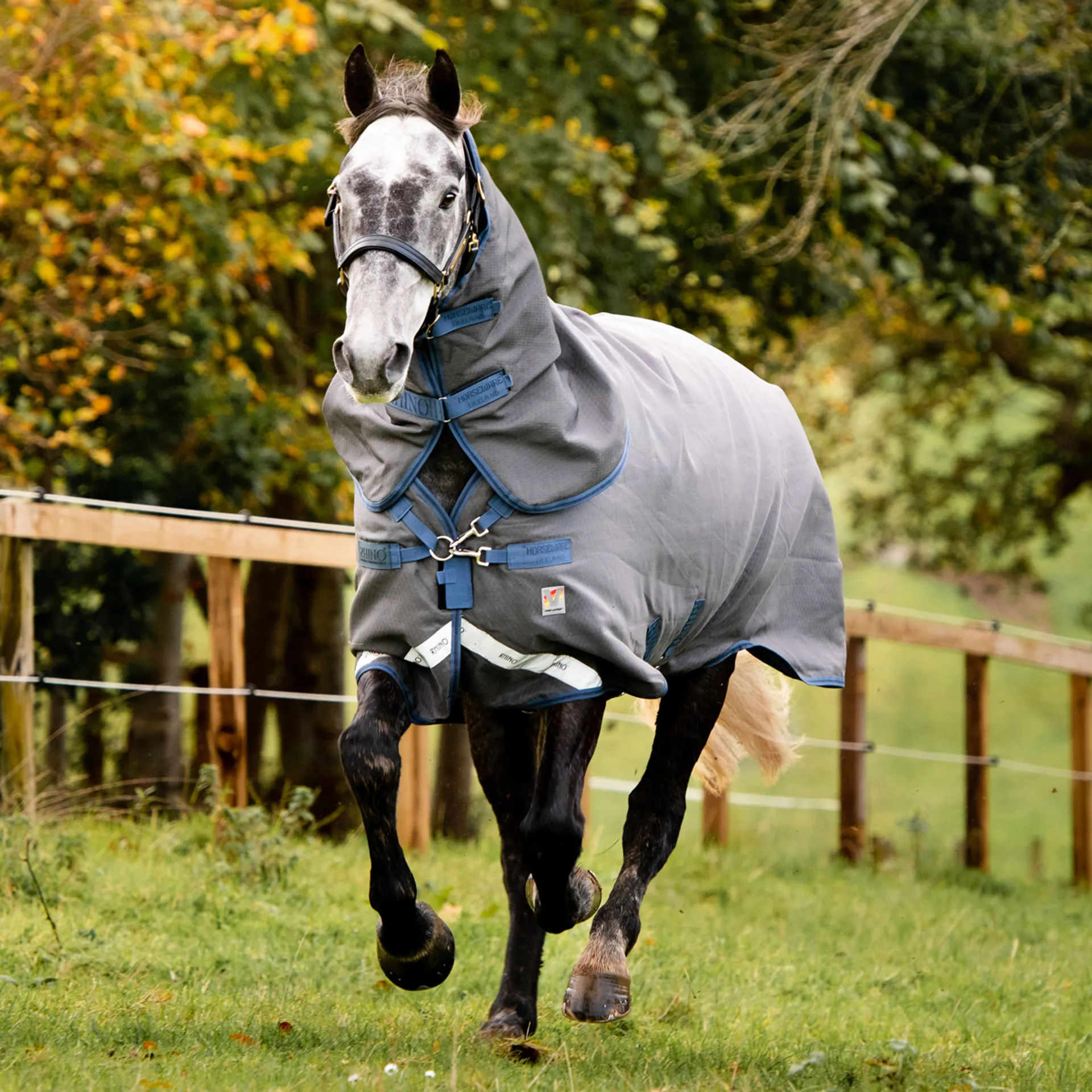 Rhino Rug Rhino HexStop Plus 250g Vari-Layer Turnout Rug - Grey/Indigo/Navy