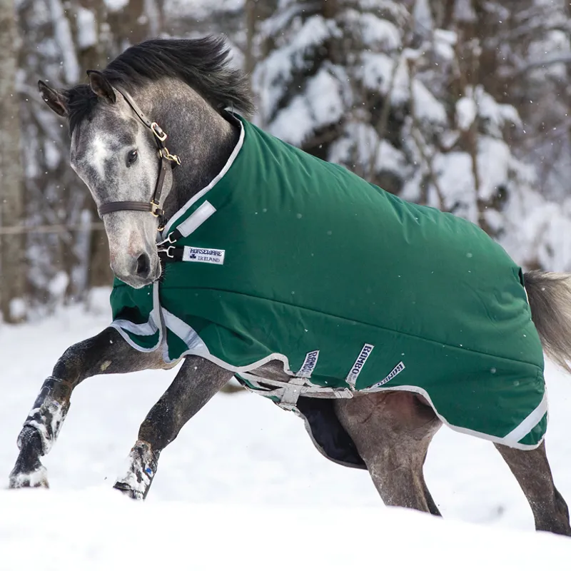 Rambo Original 400g Turnout Rug with Leg Arches - Green/Silver-1