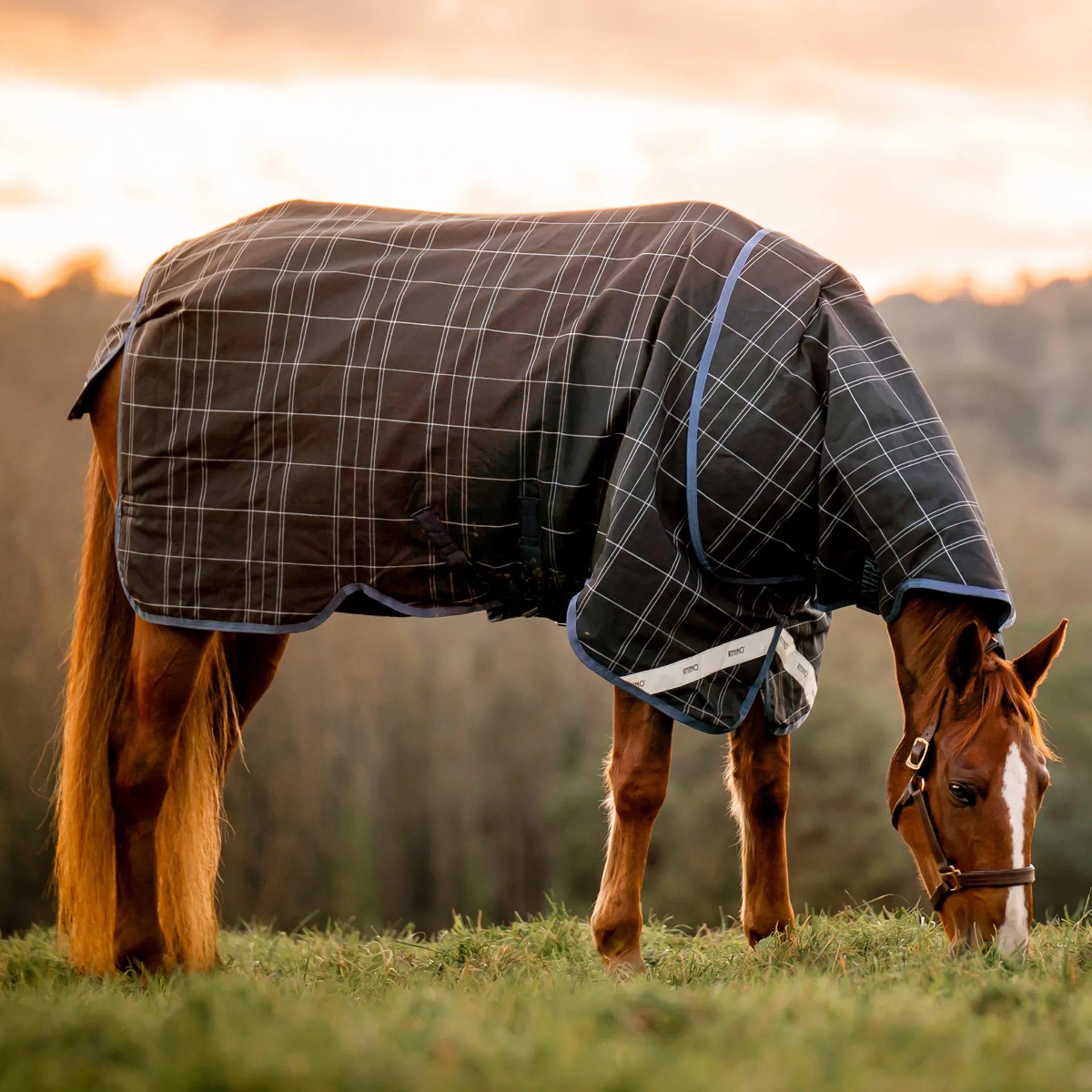 Rhino Rug Rhino Plus Reflectech 250g Vari-Layer Turnout Rug - Navy/Indigo