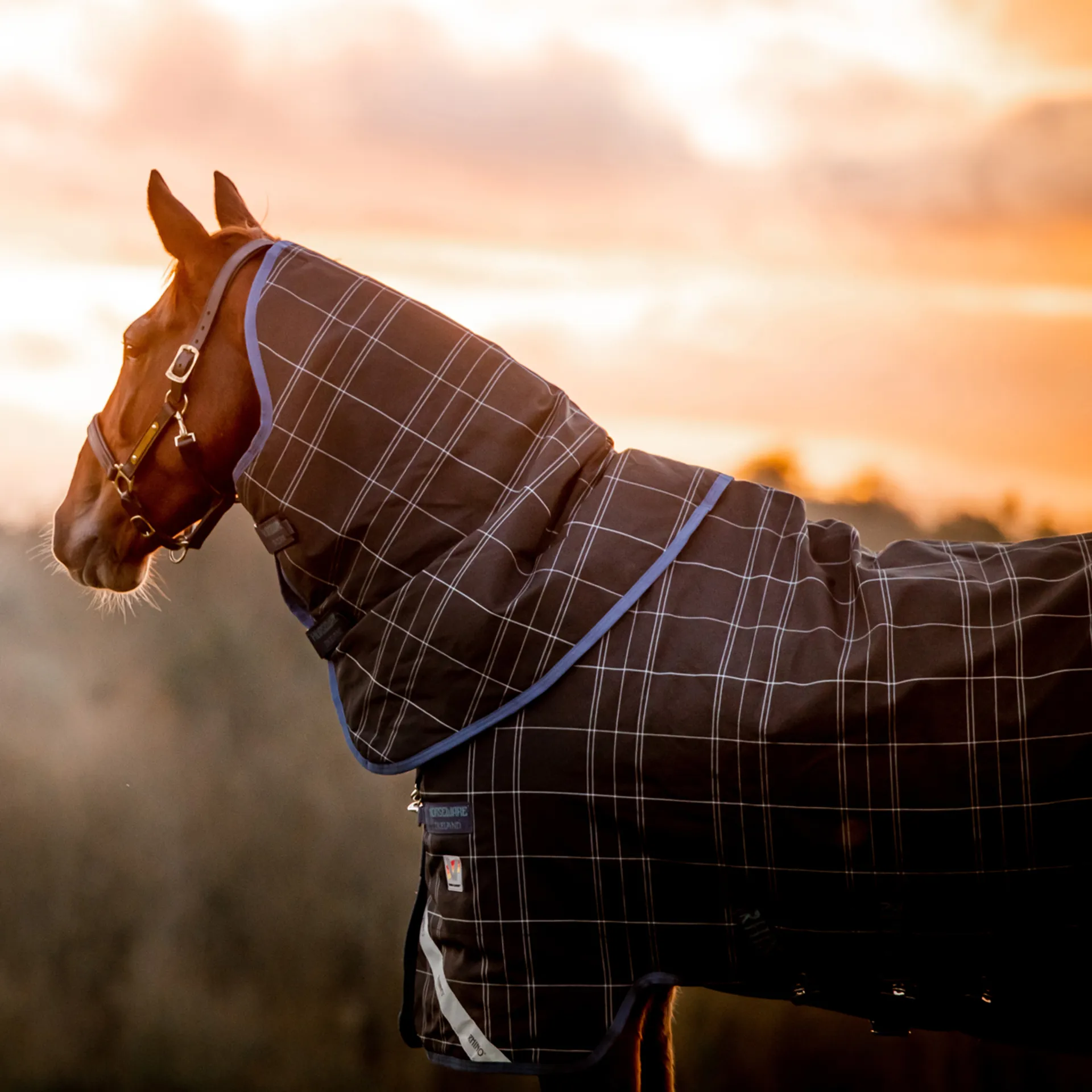 Rhino Rug Rhino Plus Reflectech 250g Vari-Layer Turnout Rug - Navy/Indigo