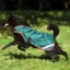 Horseware Rambo Waterproof Dog Coat with Liner - Green/Red