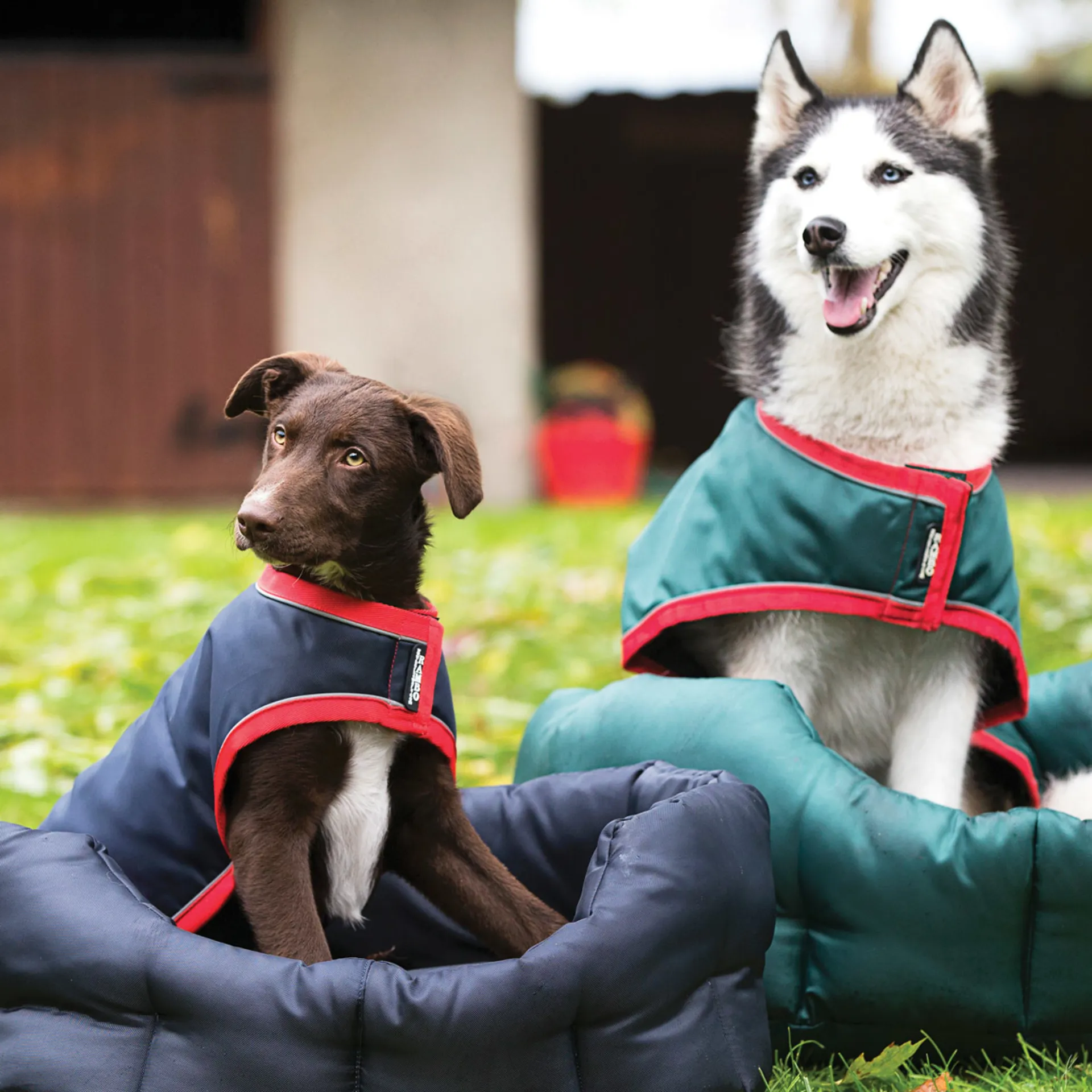 Horseware Rambo Waterproof Dog Coat with Liner Green/Red