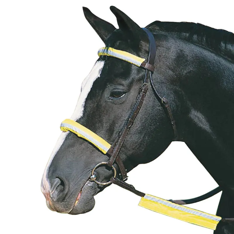 Roma Reflective Bridle Set - Yellow