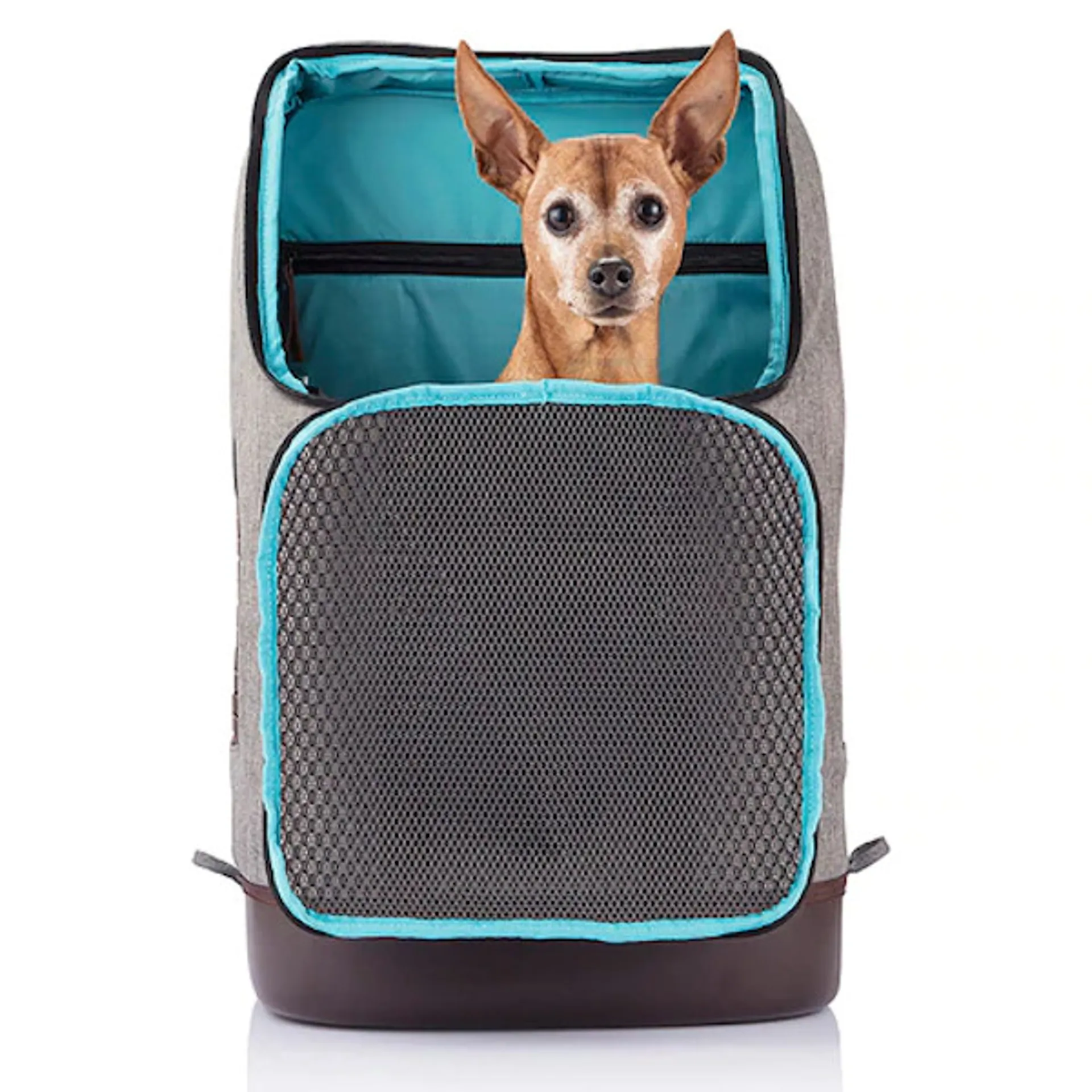 Kurgo K9 Dog Rucksack Heather Grey