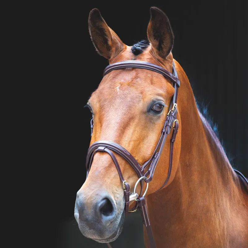 Shires Salisbury Bodenham Flash Bridle with Reins - Australian Nut