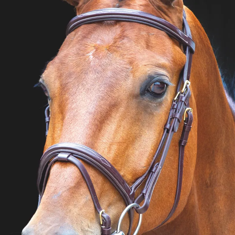 Shires Salisbury Bodenham Flash Bridle with Reins - Australian Nut-1