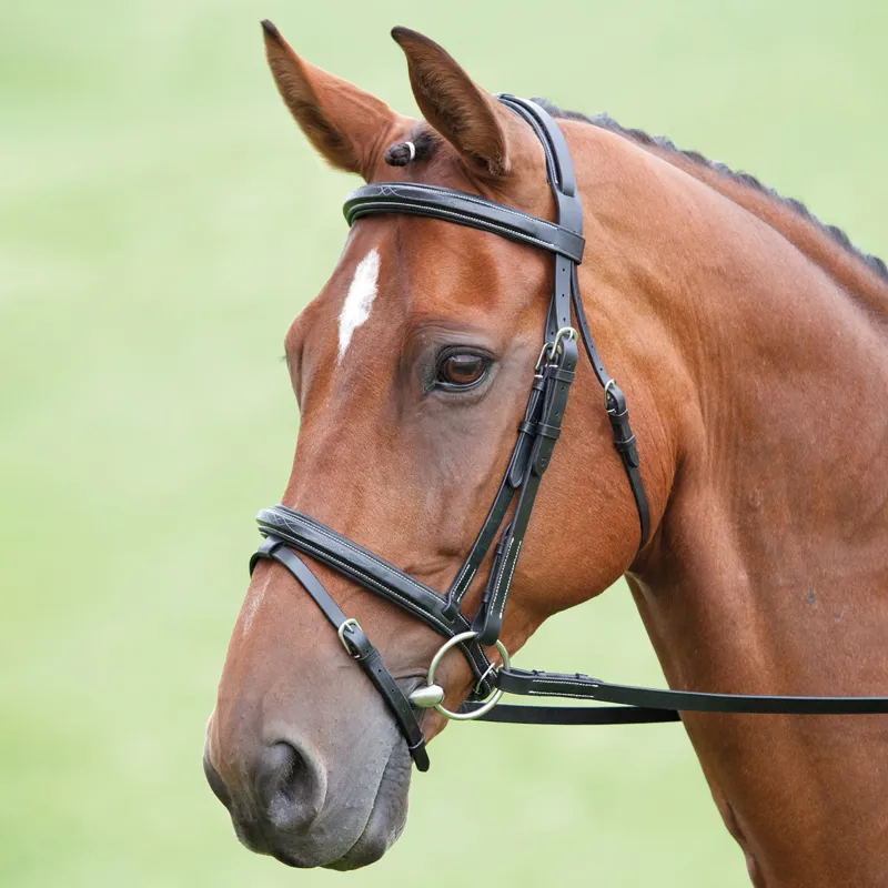 Shires Salisbury Bodenham Flash Bridle with Reins - Black