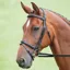 Shires Salisbury Bodenham Flash Bridle with Reins - Black