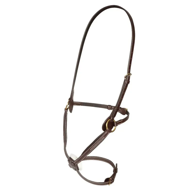 Shires Salisbury Brackley Grackle Noseband - Australian Nut