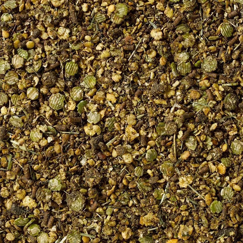 Saracen Competition Fit Balancer-1