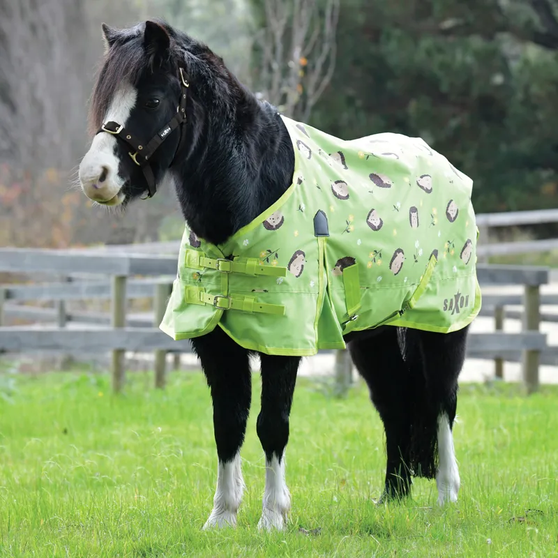 Saxon Lite 600D Standard Neck 0g Pony Turnout Rug - Hedgehogs