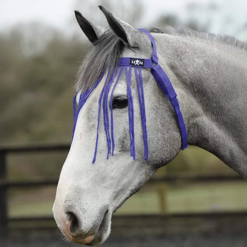 Saxon Fly Fringe - Purple