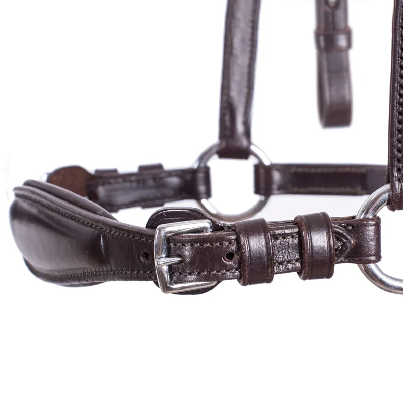 Schockemohle Copenhagen Drop Noseband Bridle - Dark Brown/Silver-1