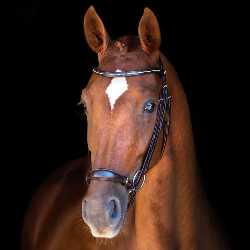 Schockemohle Copenhagen Drop Noseband Bridle - Dark Brown/Silver-2