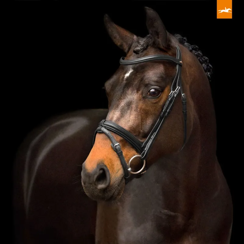 Schockemohle Tokyo Select Removable Flash Bridle - Black/Silver-1