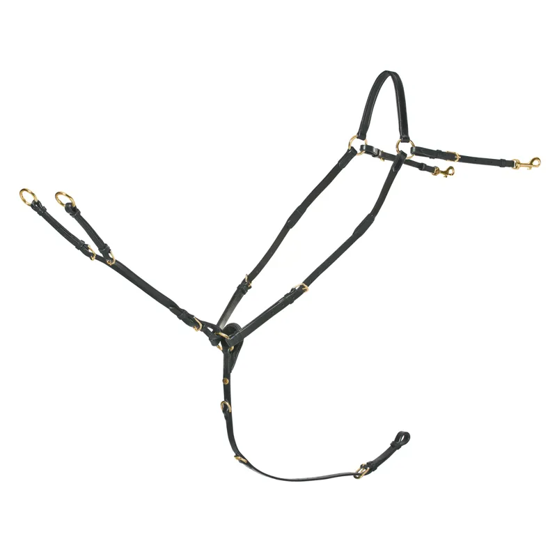 Schockemohle Race II Breastplate - Black/Gold