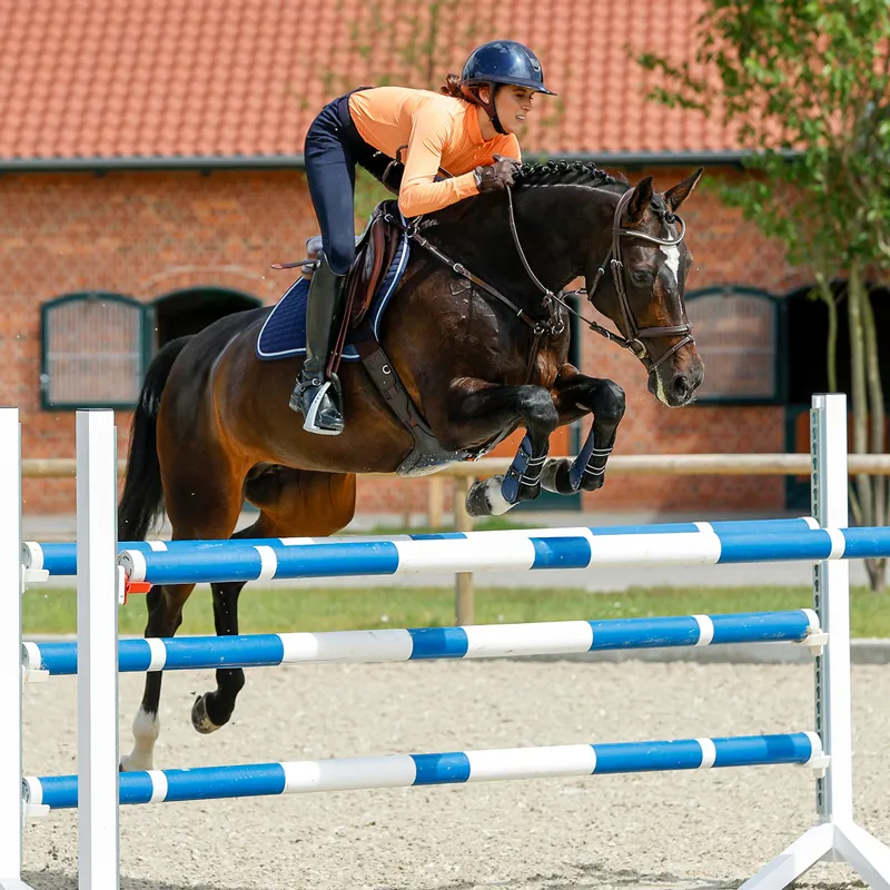 Schockemohle Luciana Style Ladies Top - Mandarin Letters - UK8-3