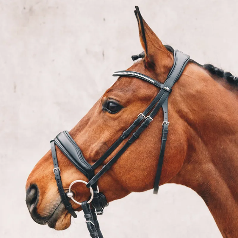 Schockemohle Stanford Noseband - Black/Silver-1