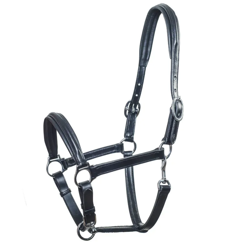 Schockemohle Ulm Leather Headcollar - Black
