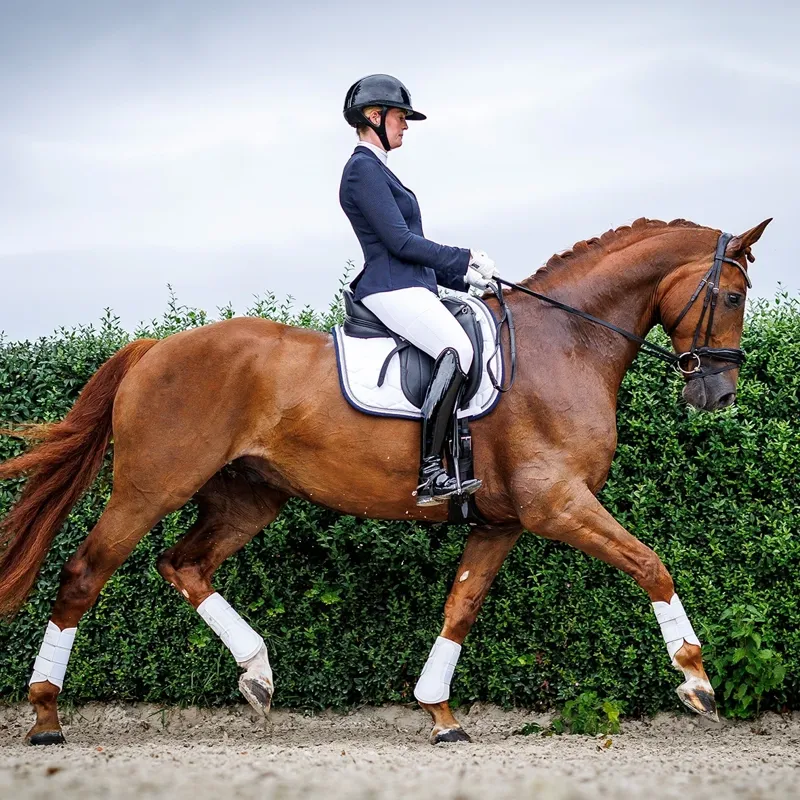 Schockemohle Eco Comfort Dressage Saddlecloth - White Pre-Order-1