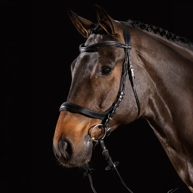 Schockemohle Equitus Delta Anatomic Bridle - Black/Silver-1