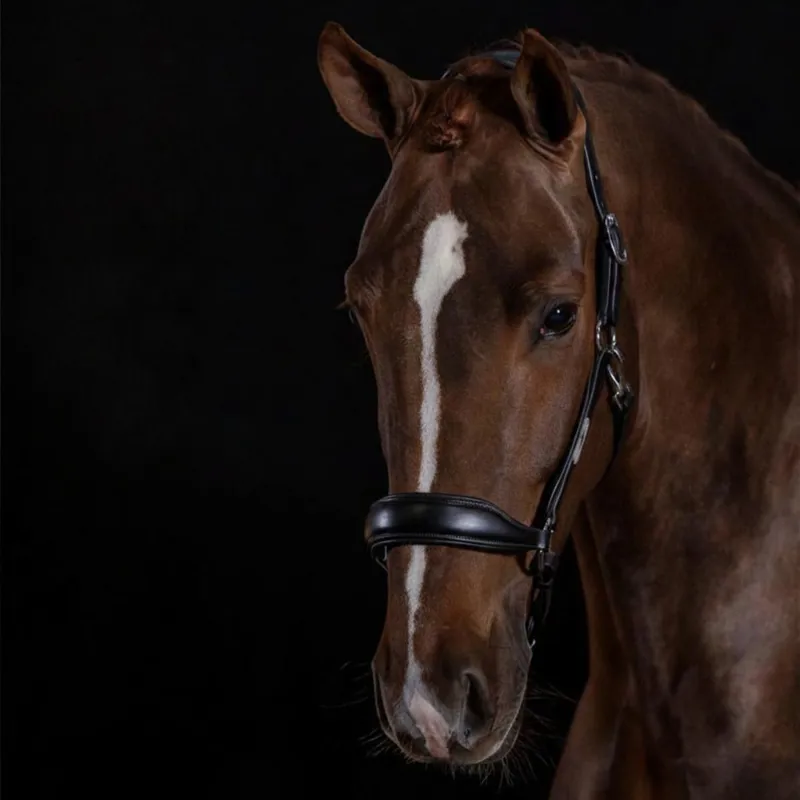 Schockemohle Fremont Pro Grooming Leather Headcollar - Black-1