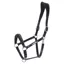 Schockemohle Frisco Leather Headcollar - Black
