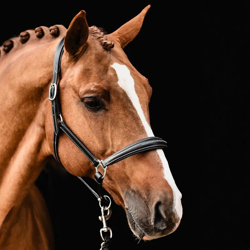 Schockemohle Frisco Leather Headcollar - Brown-1