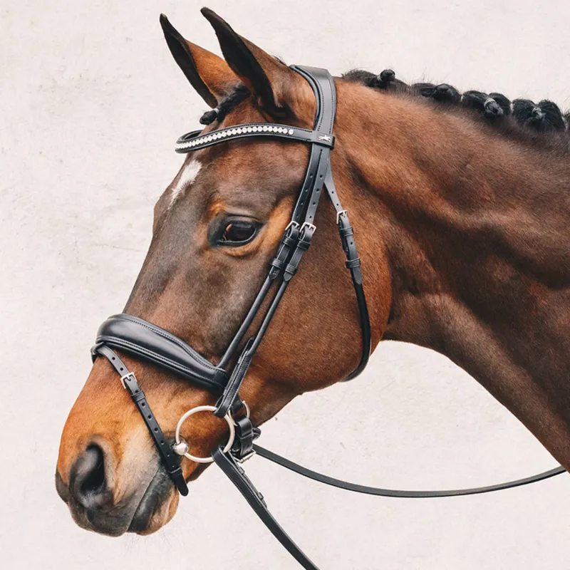 Schockemohle Malibu Anatomic Flash Bridle - Patent Black/Silver-2