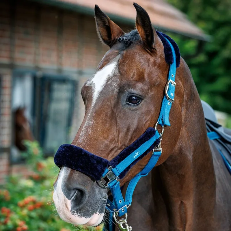 Schockemohle Melbourne Soft Style Headcollar - Colonial Blue Pre-Order-1