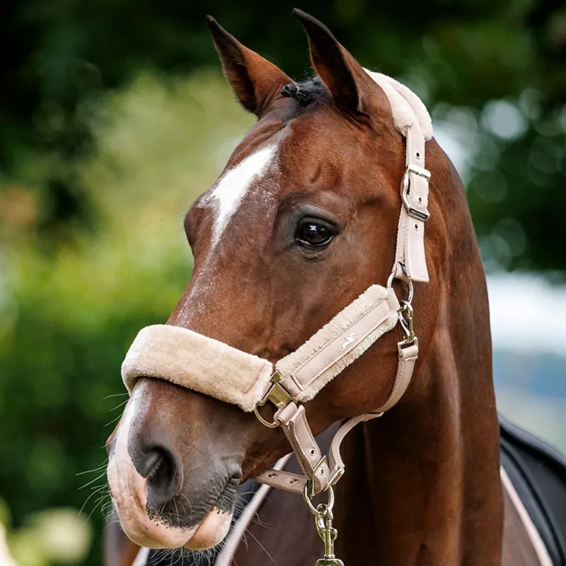 Schockemohle Melbourne Soft Style Headcollar - Stone Pre-Order-1