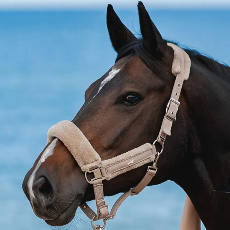 Schockemohle Melbourne Soft Style Headcollar - Stone Pre-Order-2