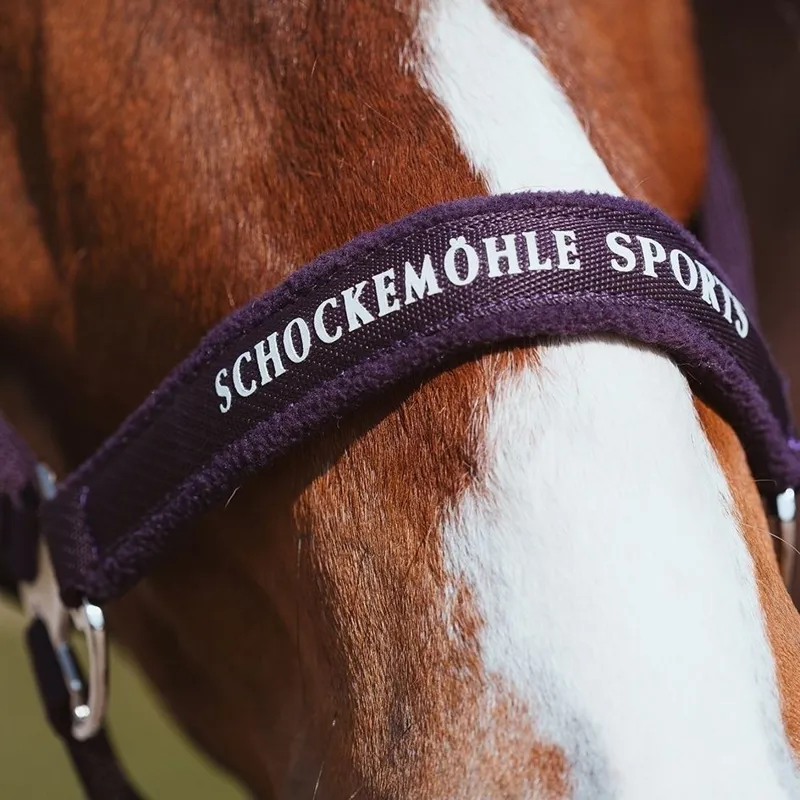 Schockemohle Memphis III Headcollar - Dark Purple-2