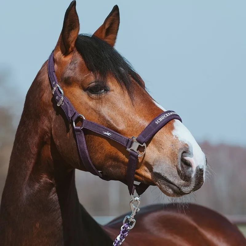 Schockemohle Memphis III Headcollar - Dark Purple