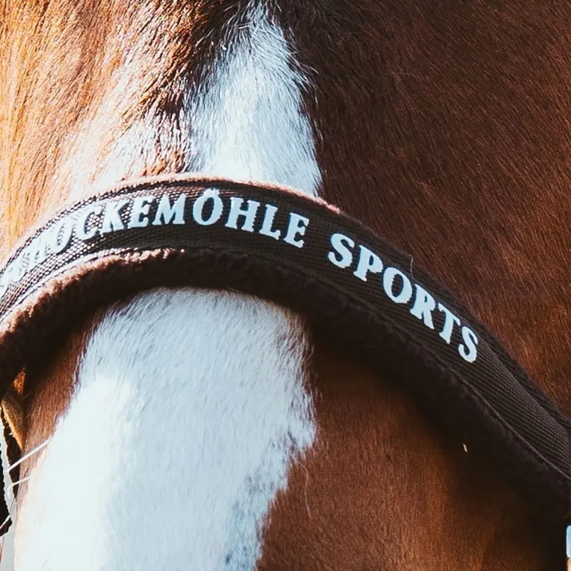 Schockemohle Memphis III Headcollar - Mocca-2