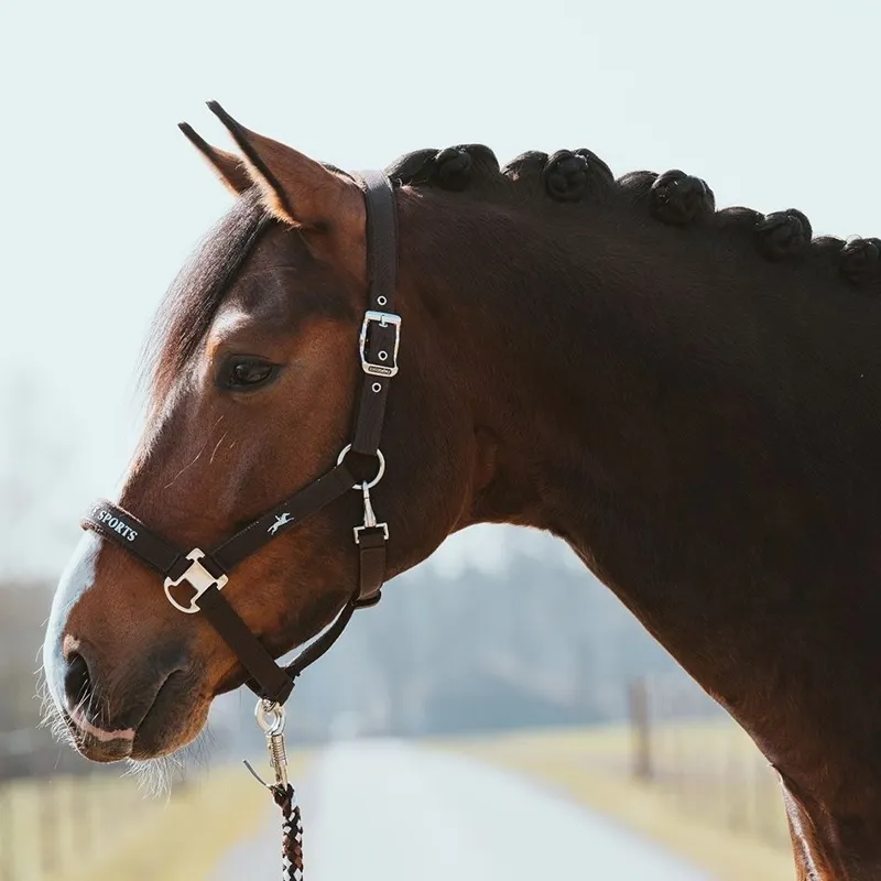 Schockemohle Memphis III Headcollar - Mocca