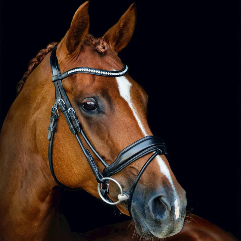 Schockemohle Malibu Anatomic Flash Bridle - Black/Silver-2