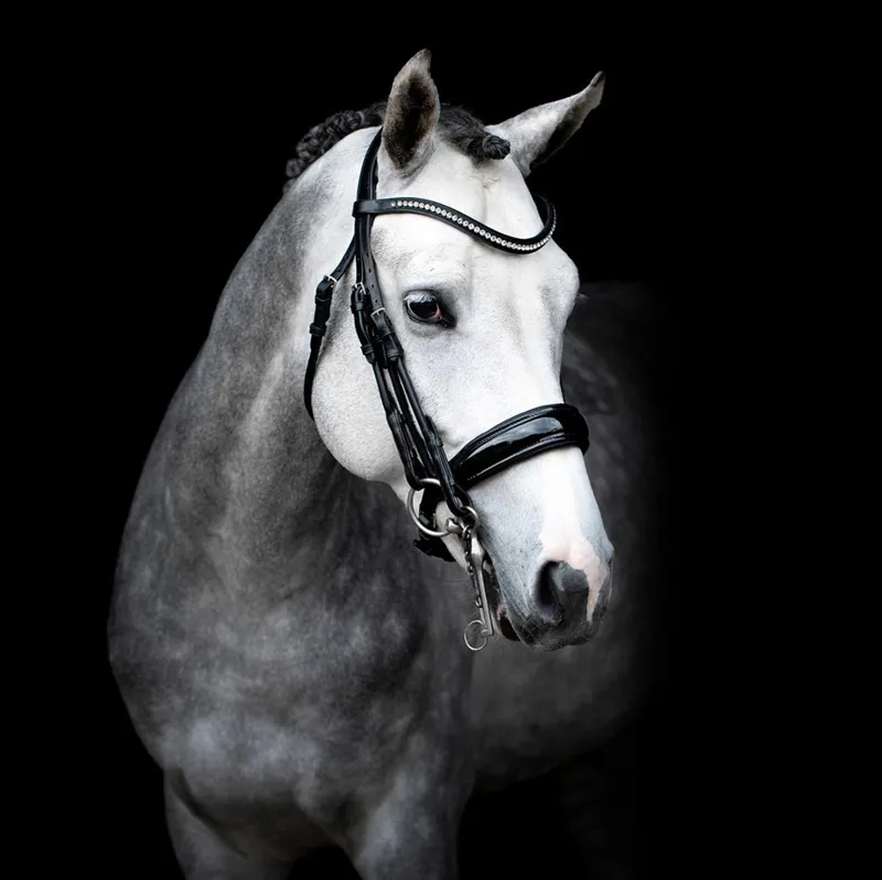 Schockemohle Venice Anatomic Double Bridle - Black Patent-1