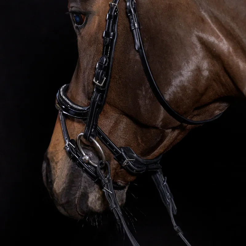Schockemohle Equitus Beta Glam Anatomic Bridle - Patent Black-2